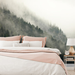 Fototapeta winylowa zmywalna Góry z lasem we mgle