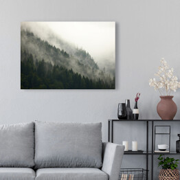 Obraz na płótnie Góry z lasem we mgle