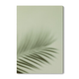 Obraz na płótnie Liść palmowy we mgle