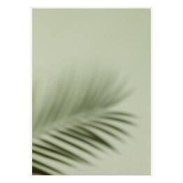 Plakat samoprzylepny Liść palmowy we mgle