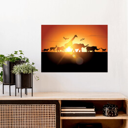 Plakat Safari - zachód słońca
