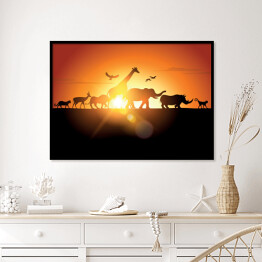 Plakat w ramie Safari - zachód słońca