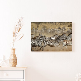 Obraz na płótnie Zebry w galopie - Południowa Afryka