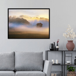 Plakat w ramie Drzewo we mgle rozświetlonej słońcem na tle lasu