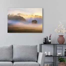 Obraz na płótnie Drzewo we mgle rozświetlonej słońcem na tle lasu