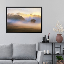 Obraz w ramie Drzewo we mgle rozświetlonej słońcem na tle lasu