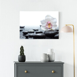 Obraz na płótnie Biała orchidea i mokre czarne kamienie