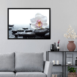 Obraz w ramie Biała orchidea i mokre czarne kamienie