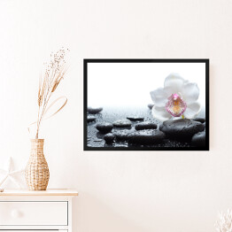 Obraz w ramie Biała orchidea i mokre czarne kamienie