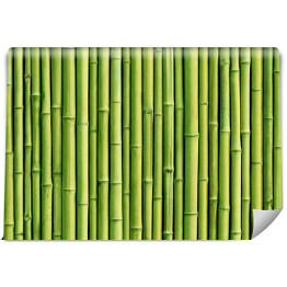 Zielony bambusowy płot