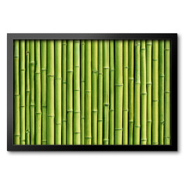Obraz w ramie Zielony bambusowy płot