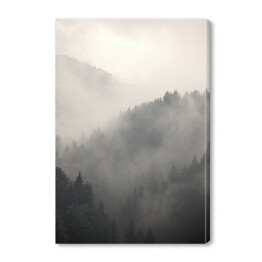 Obraz na płótnie Natura. Skandynawski las we mgle 