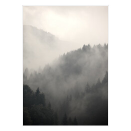 Plakat samoprzylepny Natura. Skandynawski las we mgle 