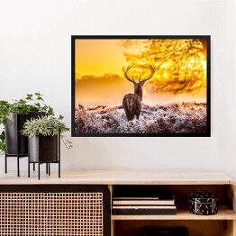Obraz w ramie Sylwetka jelenia o świcie na polanie