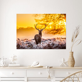 Plakat samoprzylepny Sylwetka jelenia o świcie na polanie