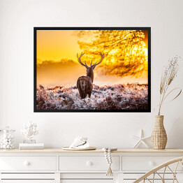Obraz w ramie Sylwetka jelenia o świcie na polanie