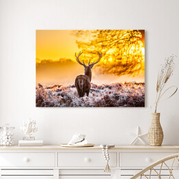 Obraz na płótnie Sylwetka jelenia o świcie na polanie
