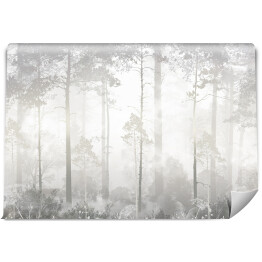 Fototapeta Czarno biały las we mgle o świcie 