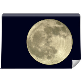 Fototapeta winylowa zmywalna Księżyc w pełni na granatowym tle