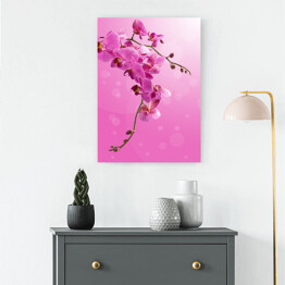 Obraz na płótnie Piękny zwisający różowy storczyk