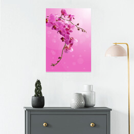Plakat samoprzylepny Piękny zwisający różowy storczyk