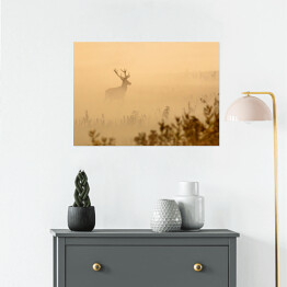 Plakat samoprzylepny Jeleń na polanie we mgle o poranku