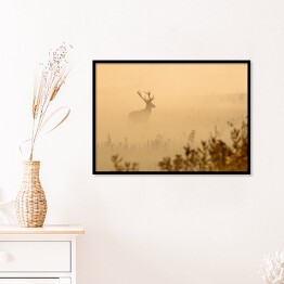 Plakat w ramie Jeleń na polanie we mgle o poranku