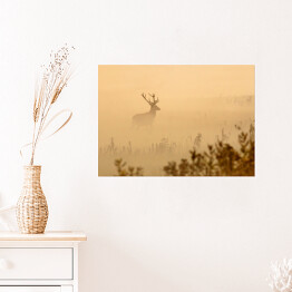 Plakat Jeleń na polanie we mgle o poranku