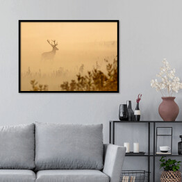 Plakat w ramie Jeleń na polanie we mgle o poranku