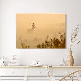 Obraz na płótnie Jeleń na polanie we mgle o poranku