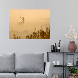 Plakat samoprzylepny Jeleń na polanie we mgle o poranku