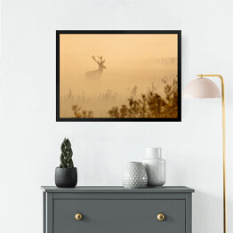 Obraz w ramie Jeleń na polanie we mgle o poranku