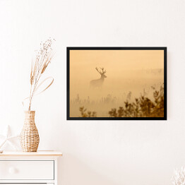Obraz w ramie Jeleń na polanie we mgle o poranku
