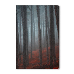 Obraz na płótnie Tajemniczy las we mgle. Czerwono czarny mistyczny krajobraz