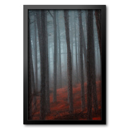 Obraz w ramie Tajemniczy las we mgle. Czerwono czarny mistyczny krajobraz