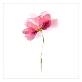 Plakat samoprzylepny Różowy pojedynczy kwiat - akwarela