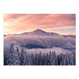 Plakat samoprzylepny Pastelowe niebo nad lasem i górą zimą