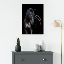 Plakat samoprzylepny Czarny koń na czarnym tle