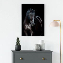 Obraz na płótnie Czarny koń na czarnym tle