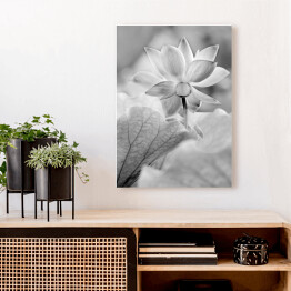 Obraz na płótnie Kwiaty czarno białe
