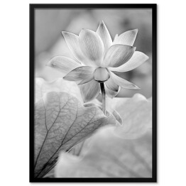 Obraz klasyczny Kwiaty czarno białe