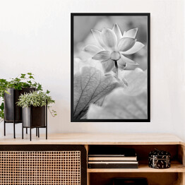 Obraz w ramie Kwiaty czarno białe