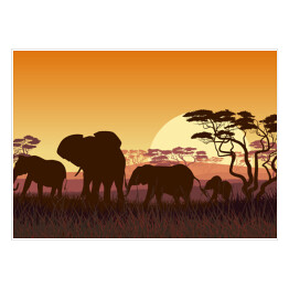 Plakat samoprzylepny Rodzina słoni na sawannie - Afryka o zachodzie słońca