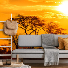 Fototapeta winylowa zmywalna Pomarańczowa poświata afrykańskiego zachodu słońca