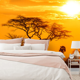 Fototapeta samoprzylepna Pomarańczowa poświata afrykańskiego zachodu słońca
