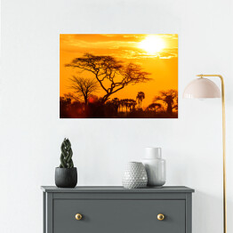 Plakat Pomarańczowa poświata afrykańskiego zachodu słońca