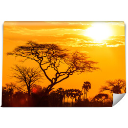 Fototapeta winylowa zmywalna Pomarańczowa poświata afrykańskiego zachodu słońca