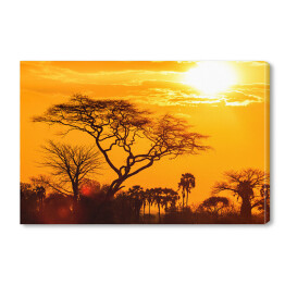Obraz na płótnie Pomarańczowa poświata afrykańskiego zachodu słońca