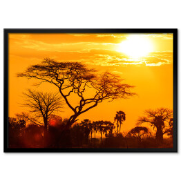 Plakat w ramie Pomarańczowa poświata afrykańskiego zachodu słońca