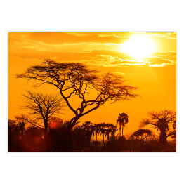 Plakat samoprzylepny Pomarańczowa poświata afrykańskiego zachodu słońca